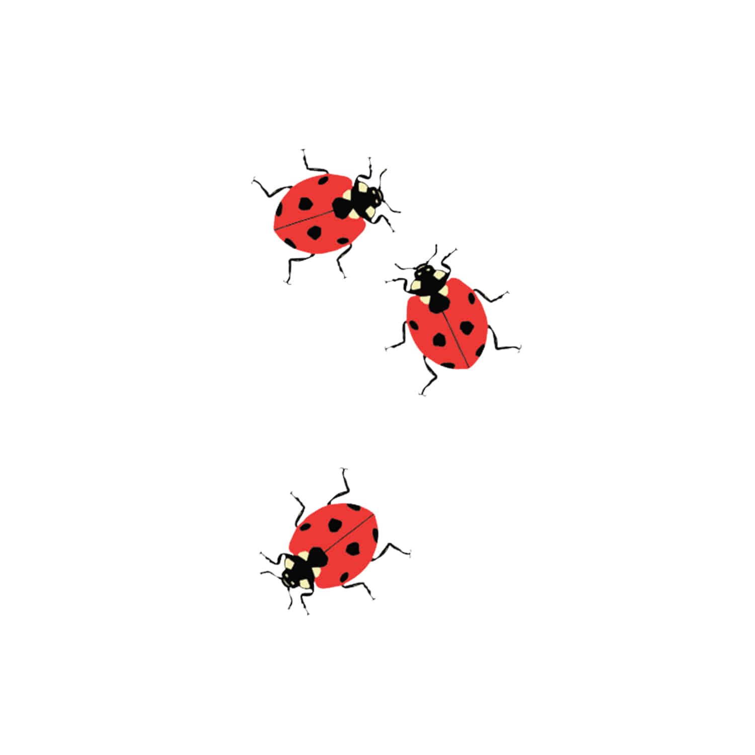 태틀리 Ladybugs 타투스티커 페어 2매