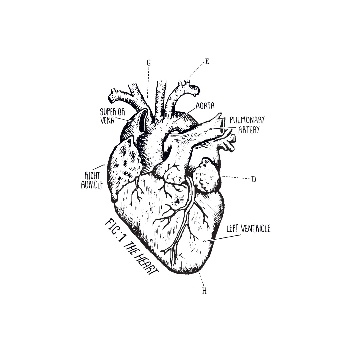 태틀리 Heart Chart 타투스티커 페어 2매