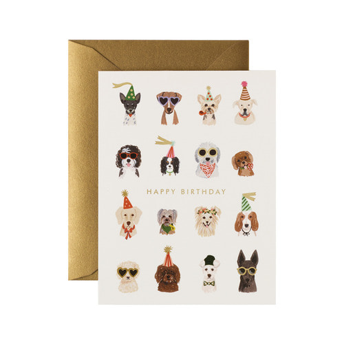 라이플페이퍼 Party Pups Birthday 생일 카드