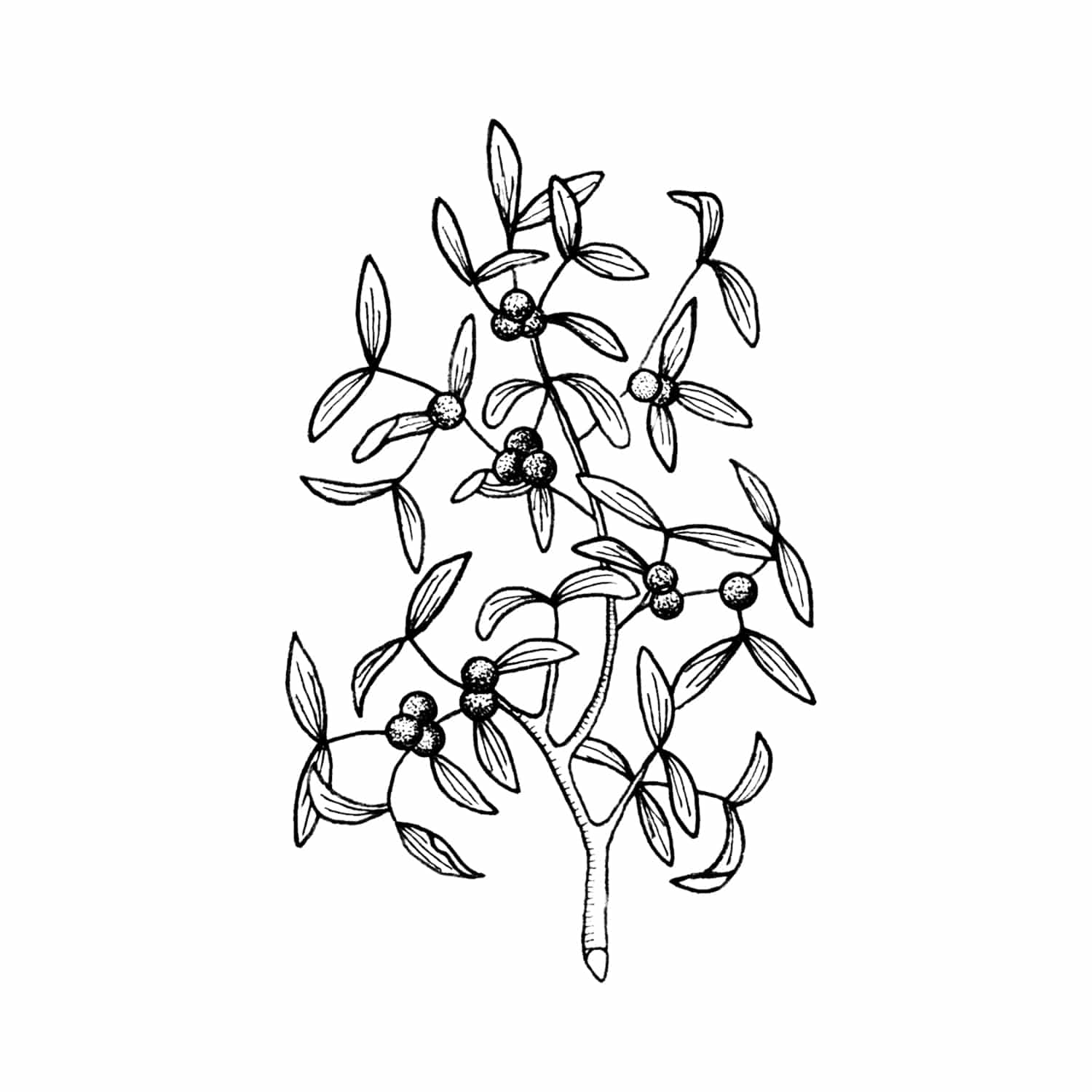 태틀리 Mistletoe 타투스티커 페어 2매